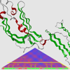 <a href="../../papers_abstracts/abstracts/113.html">FoldSynth: A physics-based interactive visualisation platform for proteins and other molecular strands</a>