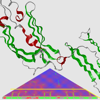 <a href="papers_abstracts/abstracts/113.html">FoldSynth: A physics-based interactive visualisation platform for proteins and other molecular strands</a>