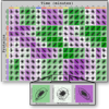 <a href="../../papers_abstracts/abstracts/120.html">Visualizing Global Correlation in Large-Scale Molecular Biological Data</a>