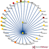 <a href="../../papers_abstracts/abstracts/134.html">KnomePathways: A Tool to View and Query Gene Interaction Networks in Individual Human Genomes</a>