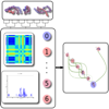 <a href="../../papers_abstracts/papers/118.html">MDMap : A System for Data-driven Layout and Exploration of Molecular Dynamics Simulations</a>