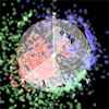 <a href="papers_abstracts/papers/133.html">Visualization of Anisotropic Contact Potentials within Protein Structures</a>