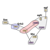 <a href="../../papers_abstracts/papers/149.html">RuleBender: Integrated Visualization for Biochemical Rule-Based Modeling</a>