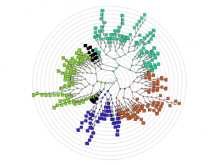 An interactive visualisation tool for the hierarchical clustering of large data sets