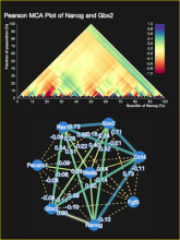 MCAweb: an interactive graphical tool for Multiresolution Correlation Analysis in single-cell data