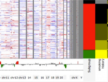 The New UCSC Cancer Genomics Browser