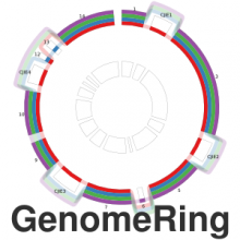 GenomeRing: alignment visualization based on SuperGenome coordinates