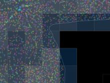 Scalable Interactive Analysis of Retinal Astrocyte Networks