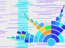 Visual Analysis of Genome-wide Tracts of Homozygosity