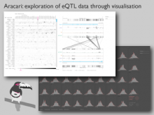 Aracari: exploration of eQTL data through visualization
