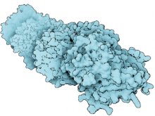 Importance Driven Visualization of Molecular Surfaces
